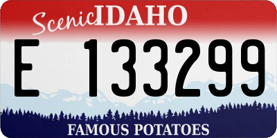 ID license plate E133299