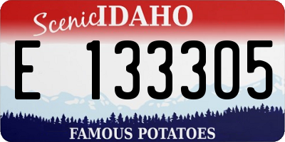 ID license plate E133305