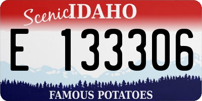 ID license plate E133306