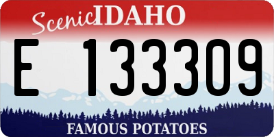 ID license plate E133309