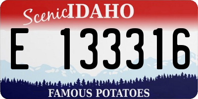 ID license plate E133316
