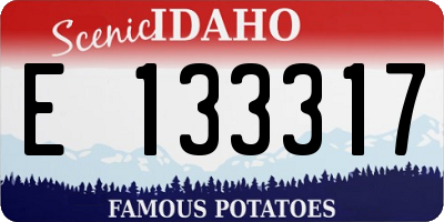 ID license plate E133317