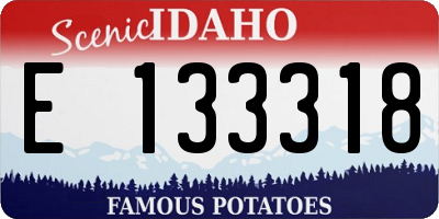 ID license plate E133318