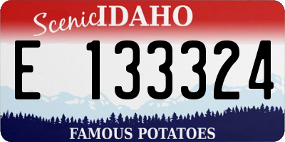 ID license plate E133324