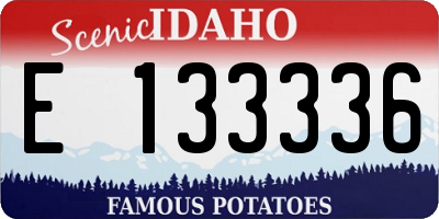 ID license plate E133336