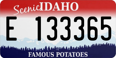 ID license plate E133365