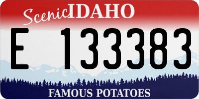 ID license plate E133383
