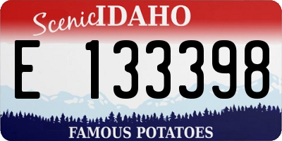 ID license plate E133398