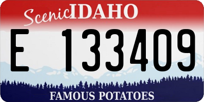 ID license plate E133409