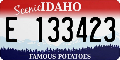 ID license plate E133423