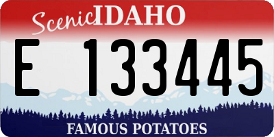 ID license plate E133445