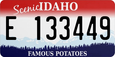 ID license plate E133449