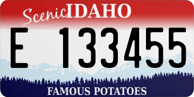 ID license plate E133455