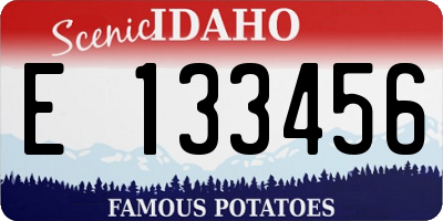 ID license plate E133456