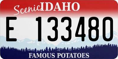 ID license plate E133480
