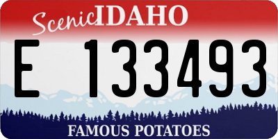ID license plate E133493
