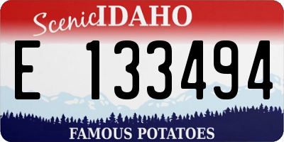 ID license plate E133494