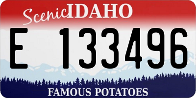 ID license plate E133496