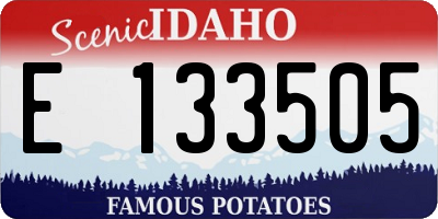 ID license plate E133505