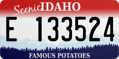 ID license plate E133524