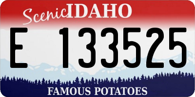 ID license plate E133525