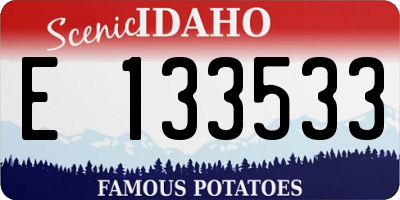 ID license plate E133533