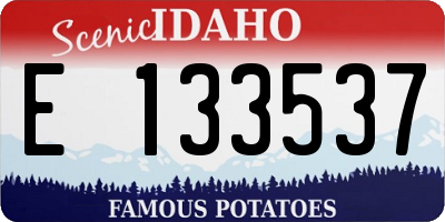 ID license plate E133537