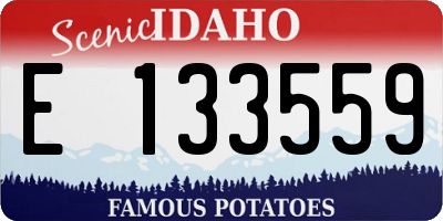 ID license plate E133559