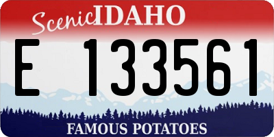 ID license plate E133561