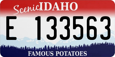 ID license plate E133563