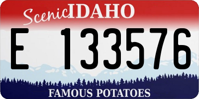 ID license plate E133576