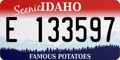 ID license plate E133597