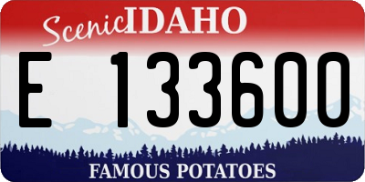 ID license plate E133600