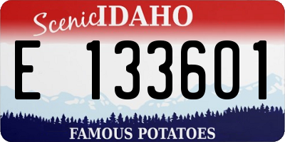 ID license plate E133601