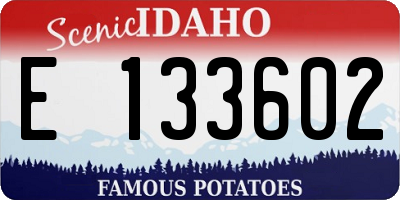 ID license plate E133602