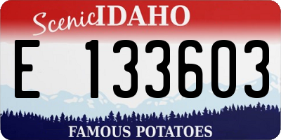 ID license plate E133603