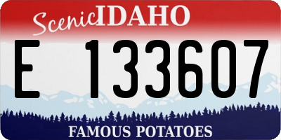 ID license plate E133607