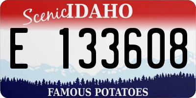 ID license plate E133608