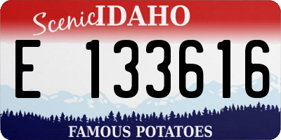 ID license plate E133616
