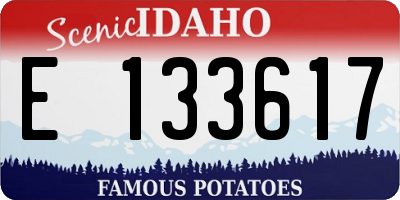ID license plate E133617