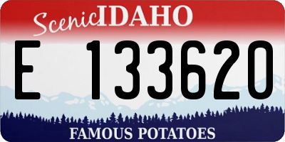 ID license plate E133620