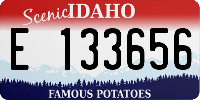 ID license plate E133656