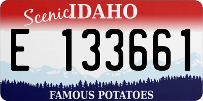 ID license plate E133661