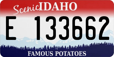 ID license plate E133662