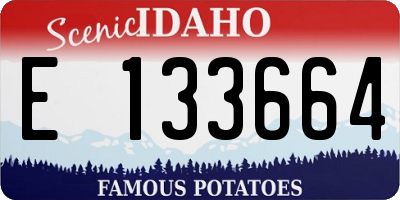 ID license plate E133664