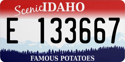 ID license plate E133667