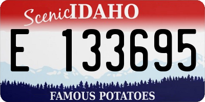 ID license plate E133695