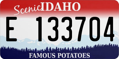 ID license plate E133704