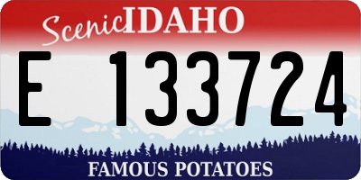ID license plate E133724