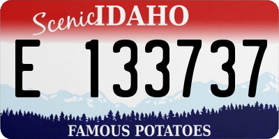 ID license plate E133737